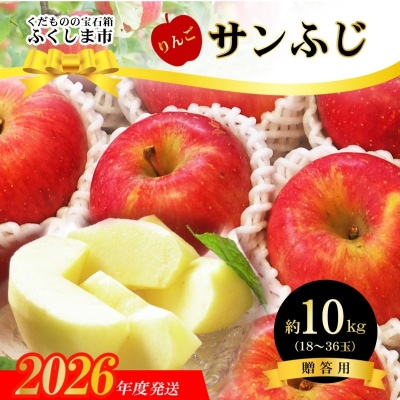  ふくしまのサンふじりんご　約10kg【2026年度発送】No.2772