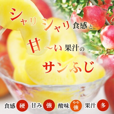 ふくしまのサンふじりんご　約10kg【2025年度発送】 No.2772
