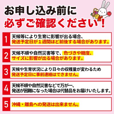  ふくしまのサンふじりんご　約10kg【2026年度発送】No.2772