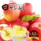 サンふじりんご 訳あり ご家庭用　約4.5kg【2025年度発送】 No.2773