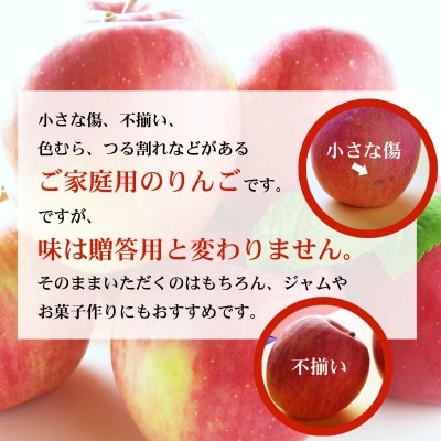  サンふじりんご 訳あり ご家庭用　約4.5kg【2026年度発送】No.2773