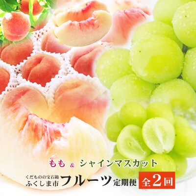 福島のフルーツ定期便2種【2024年発送】No.2767