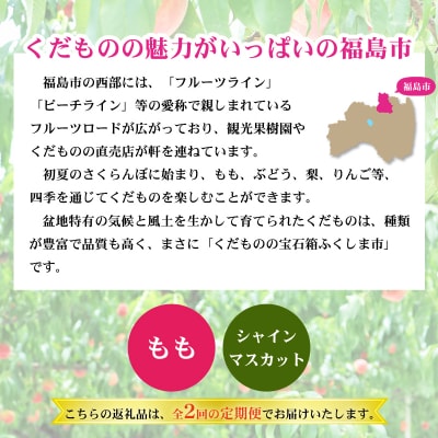 福島のフルーツ定期便2種【2026年発送　先行受付】No.2767