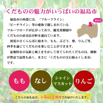 福島のフルーツ定期便4回コース 桃 梨 シャインマスカット 林檎【2025年先行受付】No.2769