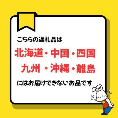 特撰おせち三段重「雅」※冷蔵発送・12/31到着限定No.2254