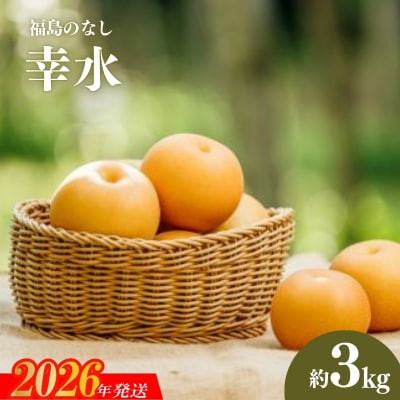 旬の特選梨 幸水約3kg【2026年発送　先行受付】No.2780