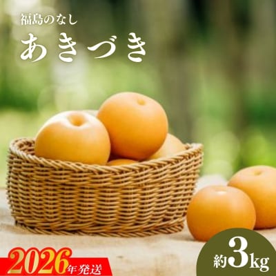 旬の特選梨 あきづき3kg【2026年発送　先行受付】No.2782