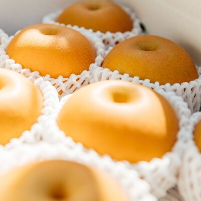 旬の特選梨 あきづき3kg【2026年発送　先行受付】No.2782