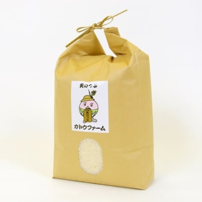 【令和7年産】カトウファーム 福島市産 天のつぶ 5kgNo.2761