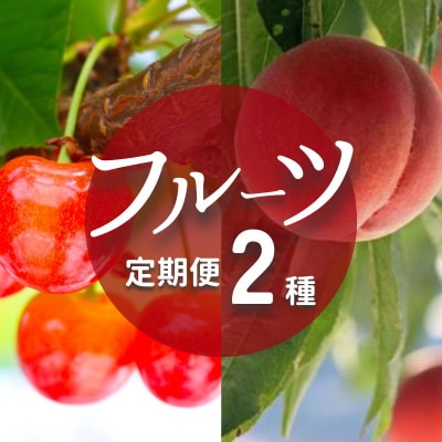 【2025年発送分】フルーツ2種定期便No.2823