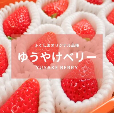 福島市産 いちご　ゆうやけベリー1箱12粒(400g)【2025年1月より発送】No.2849
