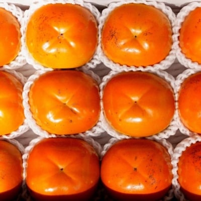  太秋柿　約3kg【2026年発送　先行受付】No.2859