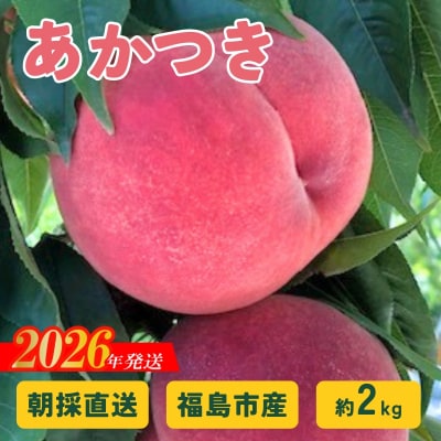  朝採り直送!福島の桃「あかつき」約2kg 【2026年発送 先行受付】No.2875