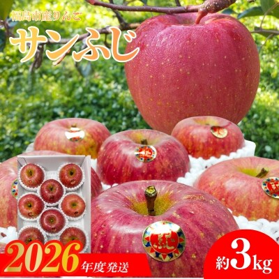  りんご「サンふじ」約3kg【2026年発送】No.1224