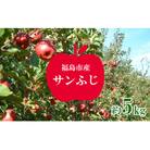 りんご「サンふじ」約5kg【2025年発送】 No.1225
