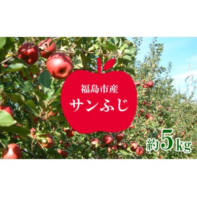 りんご「サンふじ」約5kg【2025年発送】 No.1225