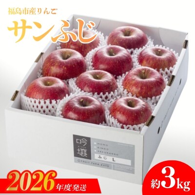 【限定100箱】 りんご「サンふじ」 約3kg【2026年度発送】 No.0673