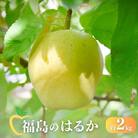 りんご「はるか」約2kg【2025年度発送】 No.2615