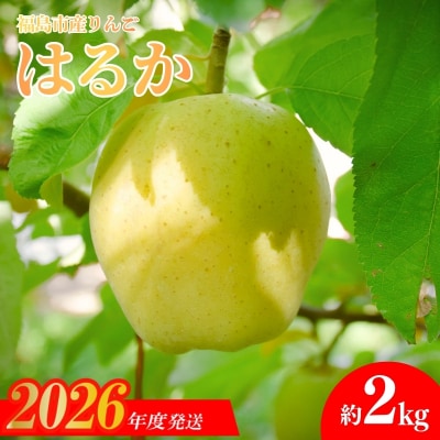  りんご「はるか」約2kg【2026年度発送】No.2615