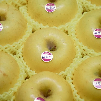  りんご「はるか」約2kg【2026年度発送】No.2615