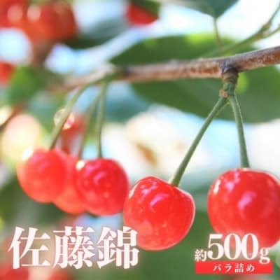 さくらんぼ「佐藤錦」約500g(バラ詰め)【2025年発送】No.2413