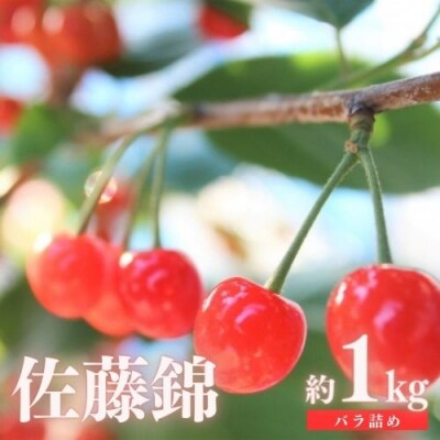さくらんぼ「佐藤錦」約1kg(バラ詰め)【2025年発送】No.2414