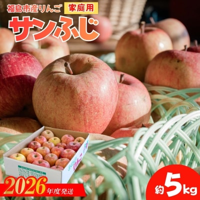  りんご「サンふじ」家庭用　約5kg箱入【2026年度発送】No.2763