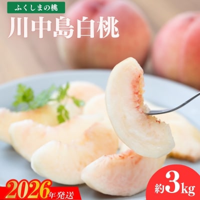 もも「川中島白桃」 約3kg【2026年発送　先行受付】No.2415