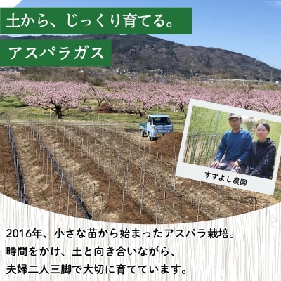  【農家直送】鮮度抜群!アスパラガス500g箱入　贈答用【2026年発送】　No.2878