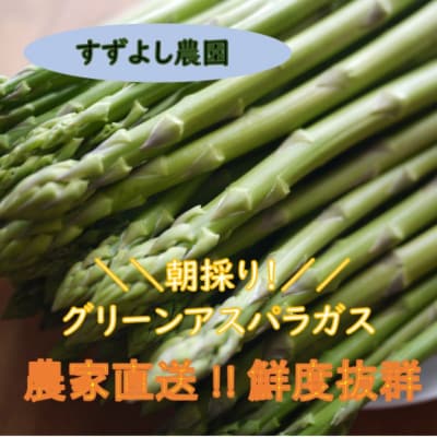 【訳あり】アスパラガス1kg　サイズ不揃い　曲がり　キズあり【2025年発送】No.2879