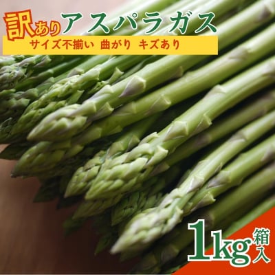 【訳あり】アスパラガス1kg箱入　サイズ不揃い　曲がり　キズあり【2026年発送】No.2879
