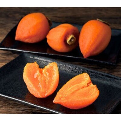 あんぽ柿(蜂屋柿) 約500gNo.2833