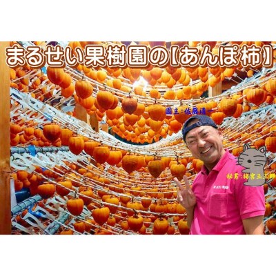 あんぽ柿(蜂屋柿) 約500gNo.2833