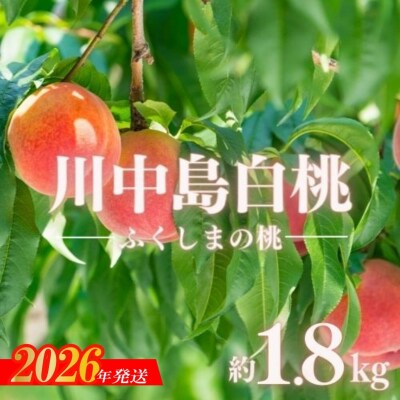 もも「川中島白桃」約1.8kg【2026年発送　先行受付】No.2886