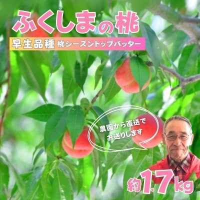 ふくしまのもも　早生品種 約1.7kg【2025年発送】No.2897