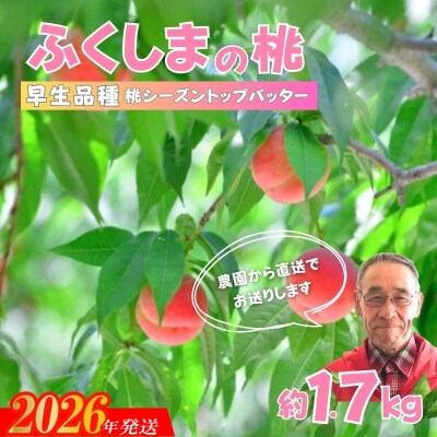 【限定50箱】ふくしまのもも　早生品種 約1.7kg【2026年発送 先行受付】No.2897