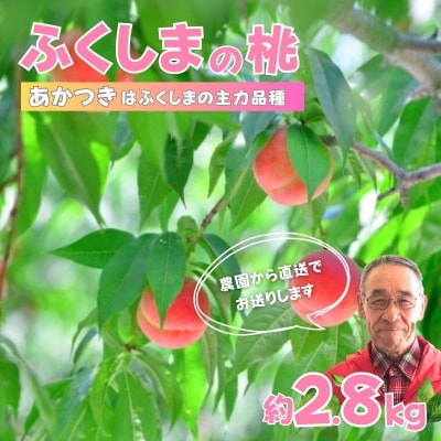 ふくしまのもも　あかつき 約2.8kg【2025年発送】No.2896