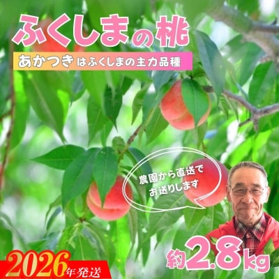 【限定150箱】ふくしまのもも　あかつき 約2.8kg【2026年発送　先行受付】No.2896