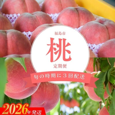  ヤマ考紺野果樹園 福島の桃だけ3種定期便 各約2kg【2026年発送　先行受付】No.2917