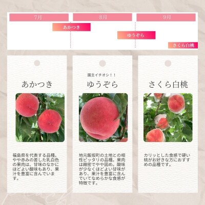  ヤマ考紺野果樹園 福島の桃だけ3種定期便 各約2kg【2026年発送　先行受付】No.2917