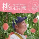  福島の桃だけ2種定期便各約2kg【2025年発送】No.2918