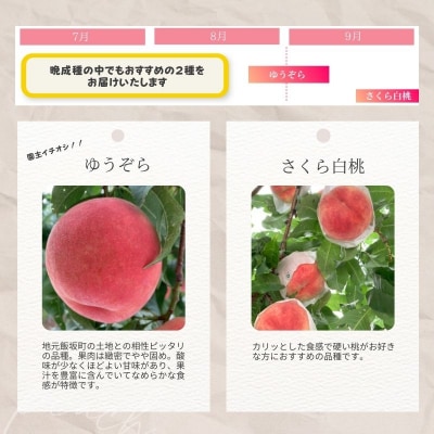  福島の桃だけ2種定期便各約2kg【2025年発送】No.2918