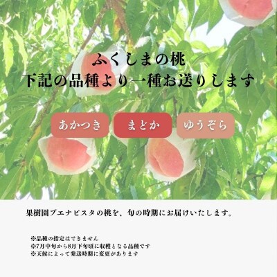  もも(品種おまかせ)約1.7kg【2026年発送　先行受付】No.2869
