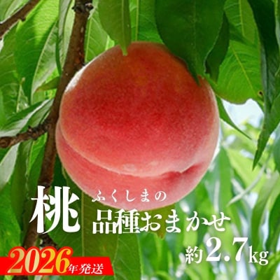  もも(品種おまかせ)ご家庭用　約2.7kg【2026年発送　先行受付】No.2870