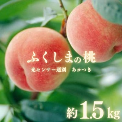 ふくしまの桃「光センサー選別あかつき」約1.5kg【2025年発送】No.2919