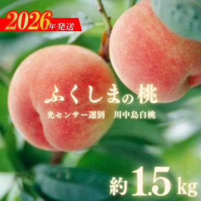ふくしまの桃「光センサー選別川中島白桃」約1.5kg【2026年発送　先行受付】No.2920