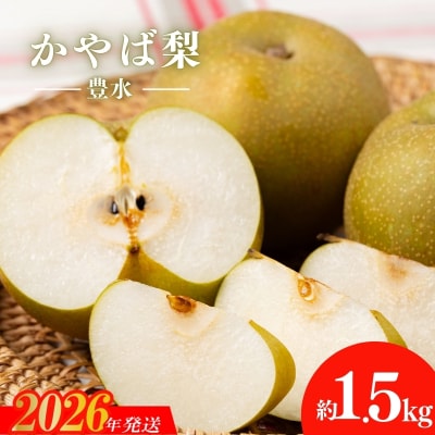 かやば梨「豊水」約1.5kg【2026年発送　先行受付】No.2923