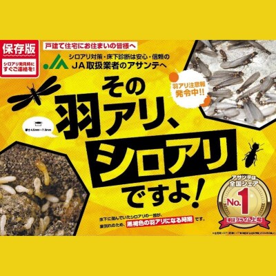  シロアリ防除作業　10平方メートル【施工場所:福島市内限定】No.2882