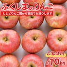 ししどりんご園　りんご「サンふじ」家庭用　約10kg箱入【2025年度発送】 No.2965