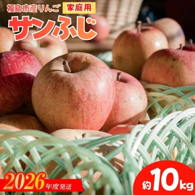  ししどりんご園　りんご「サンふじ」家庭用　約10kg箱入【2026年度発送】No.2965